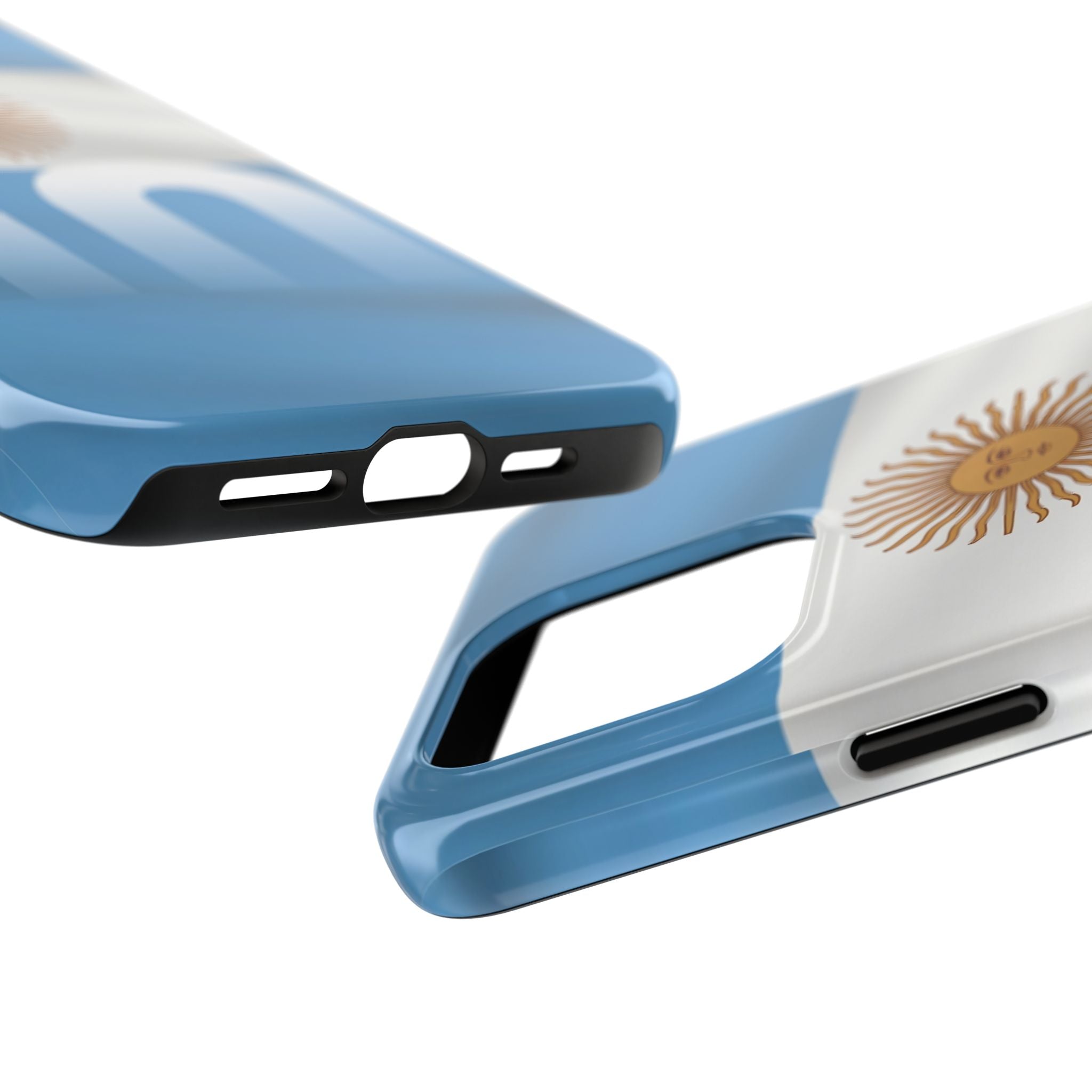 Argentina Flag/Sun Case Number 10