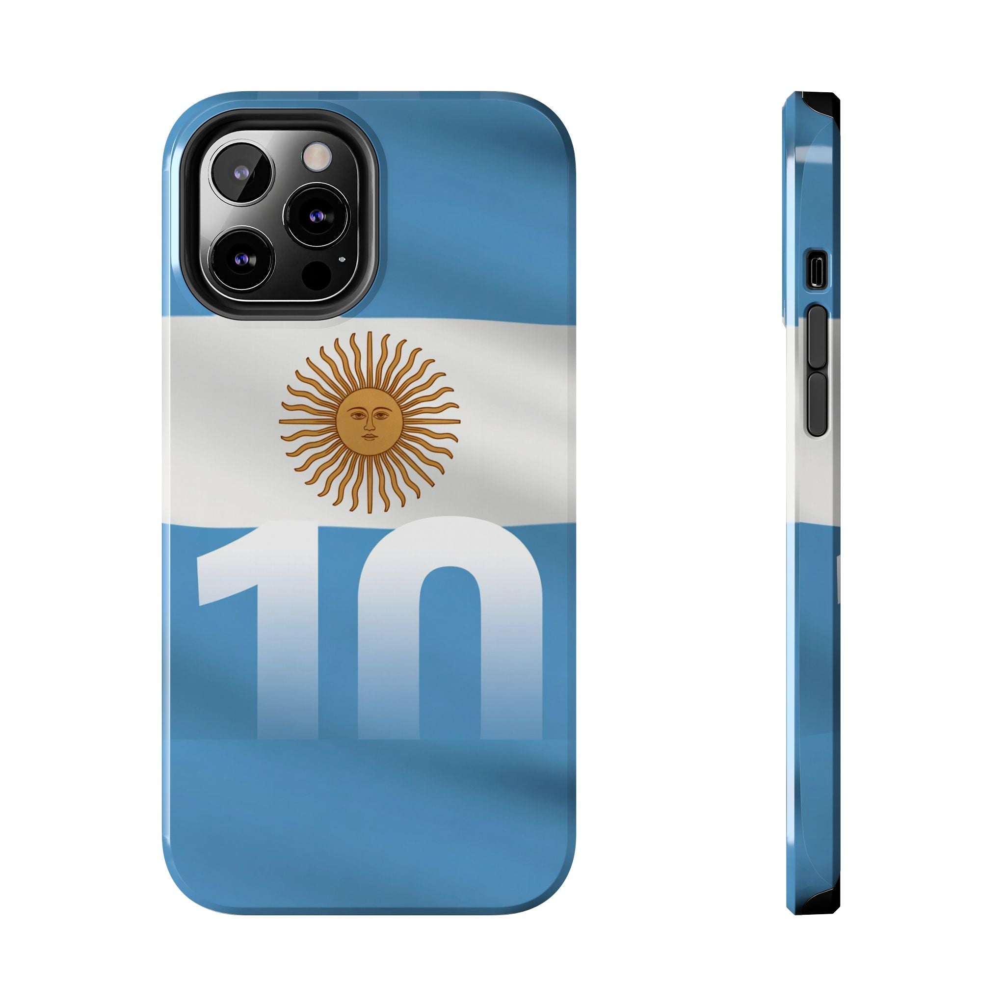 Argentina Flag/Sun Case Number 10