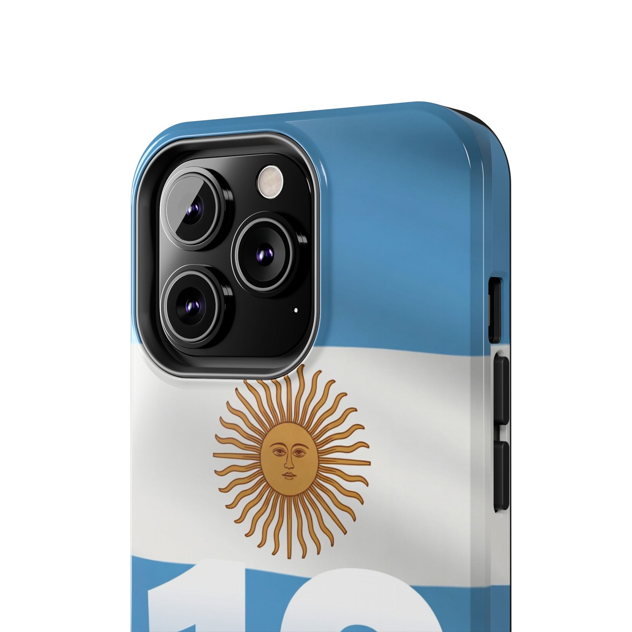 Argentina Flag/Sun Case Number 10