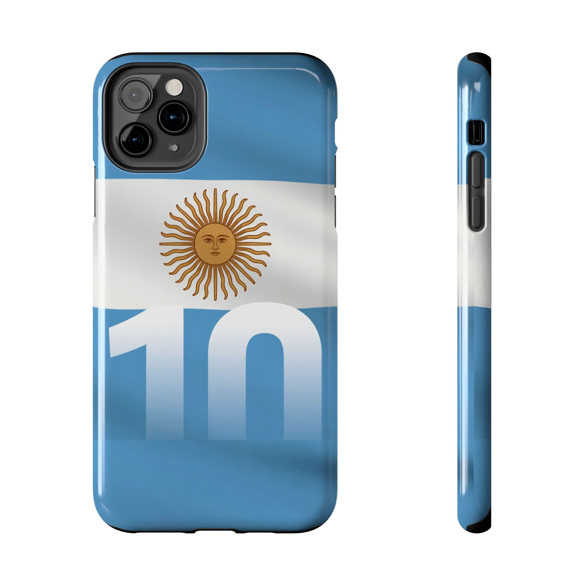 Argentina Flag/Sun Case Number 10