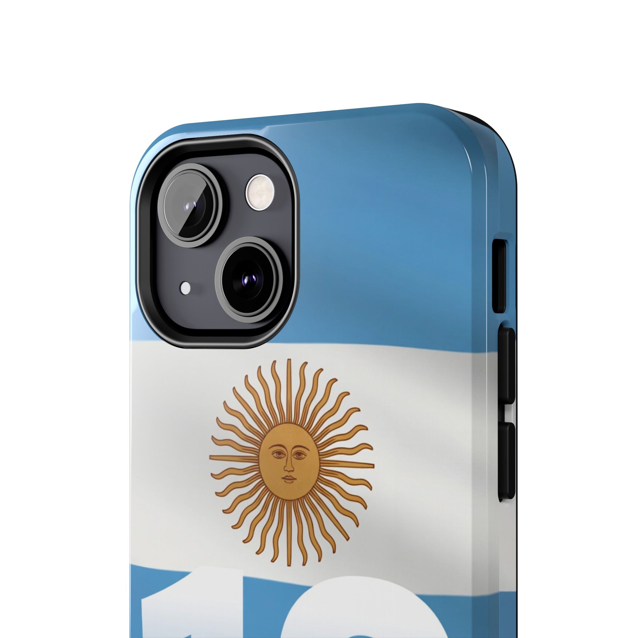 Argentina Flag/Sun Case Number 10