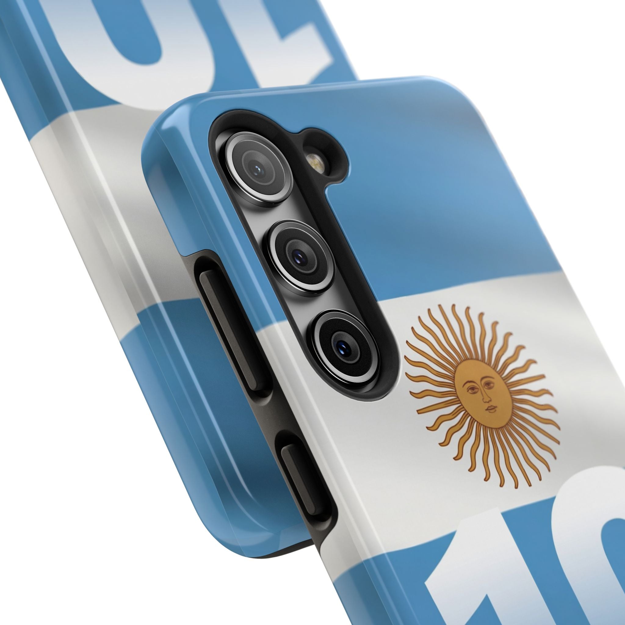 Argentina Flag/Sun Case Number 10