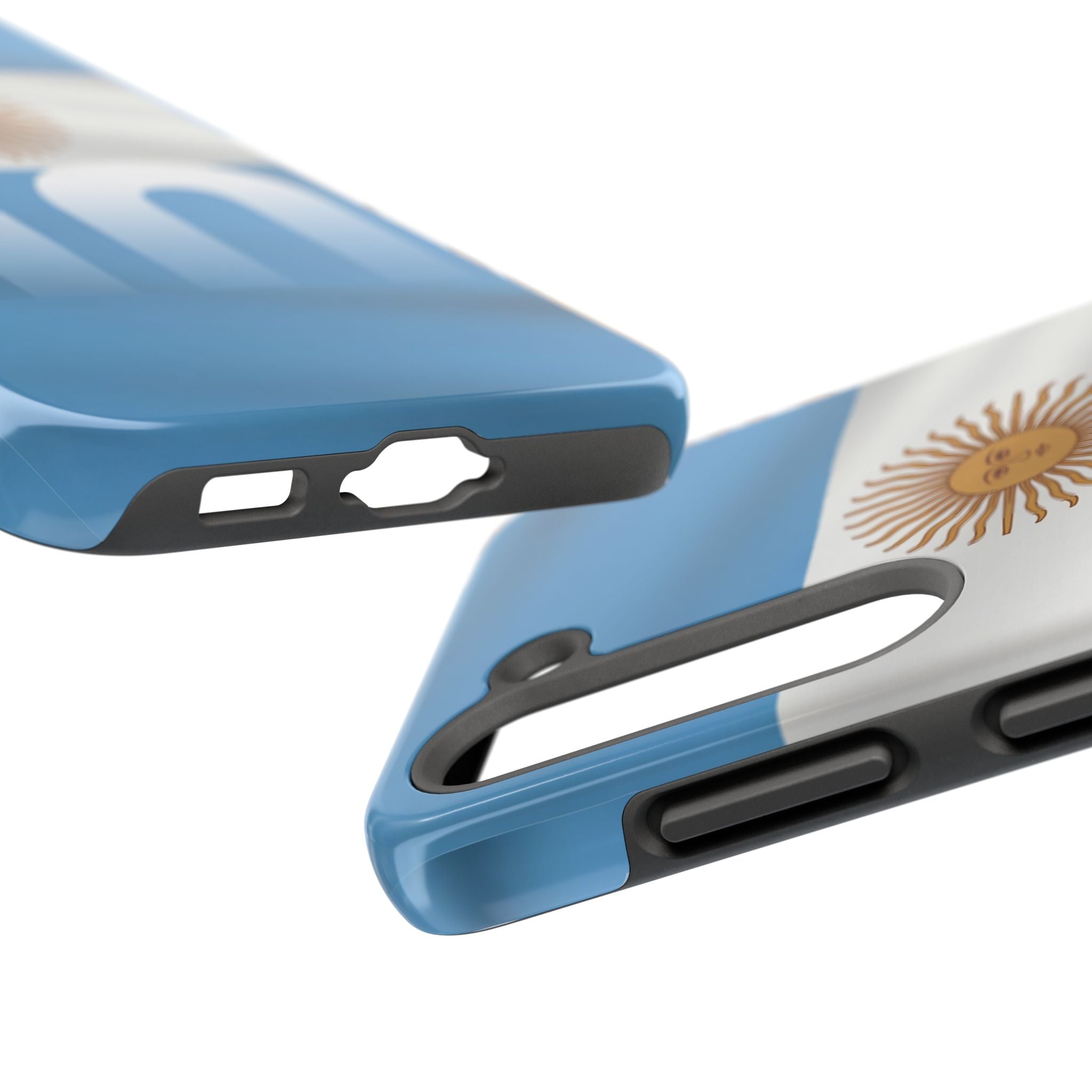 Argentina Flag/Sun Case Number 10
