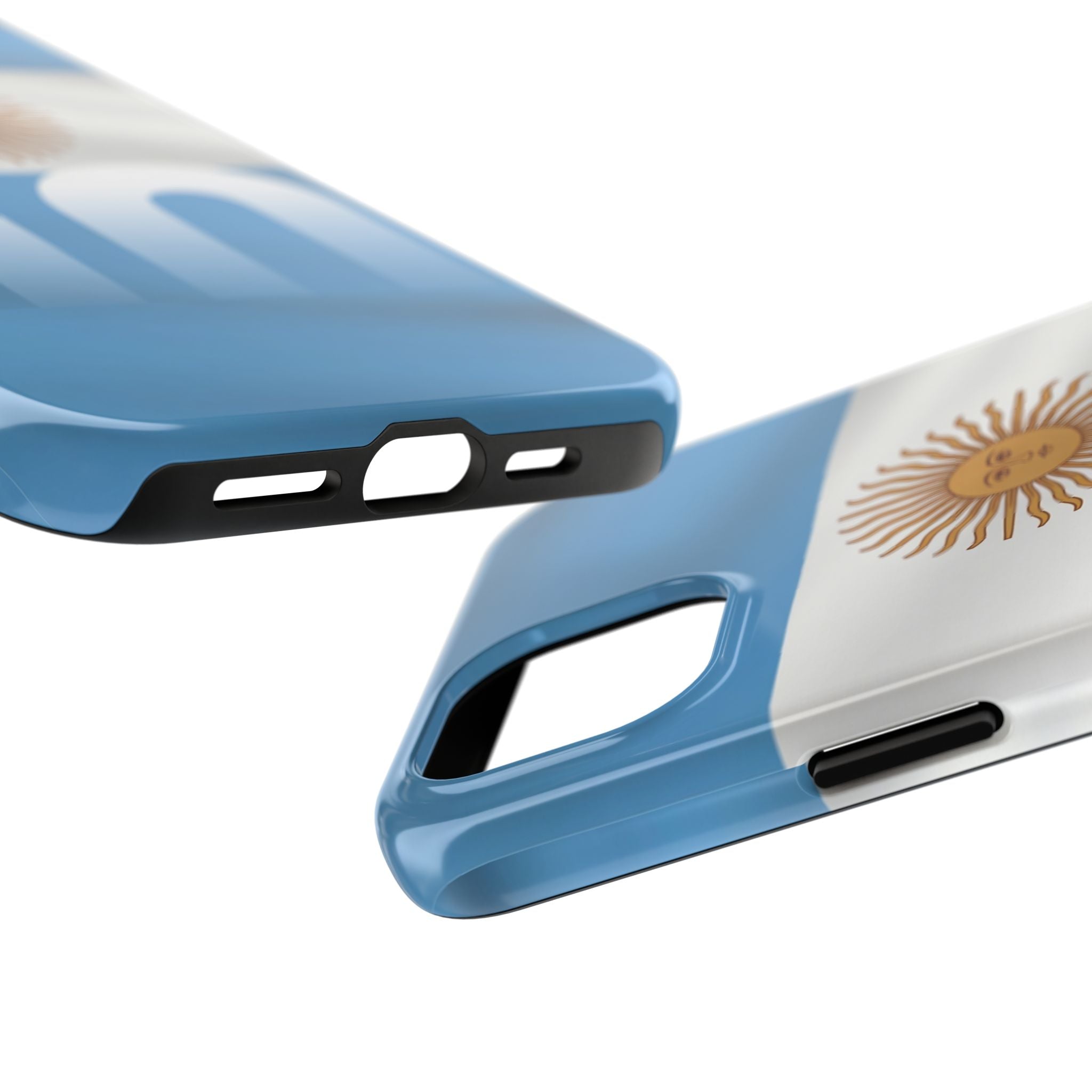 Argentina Flag/Sun Case Number 10