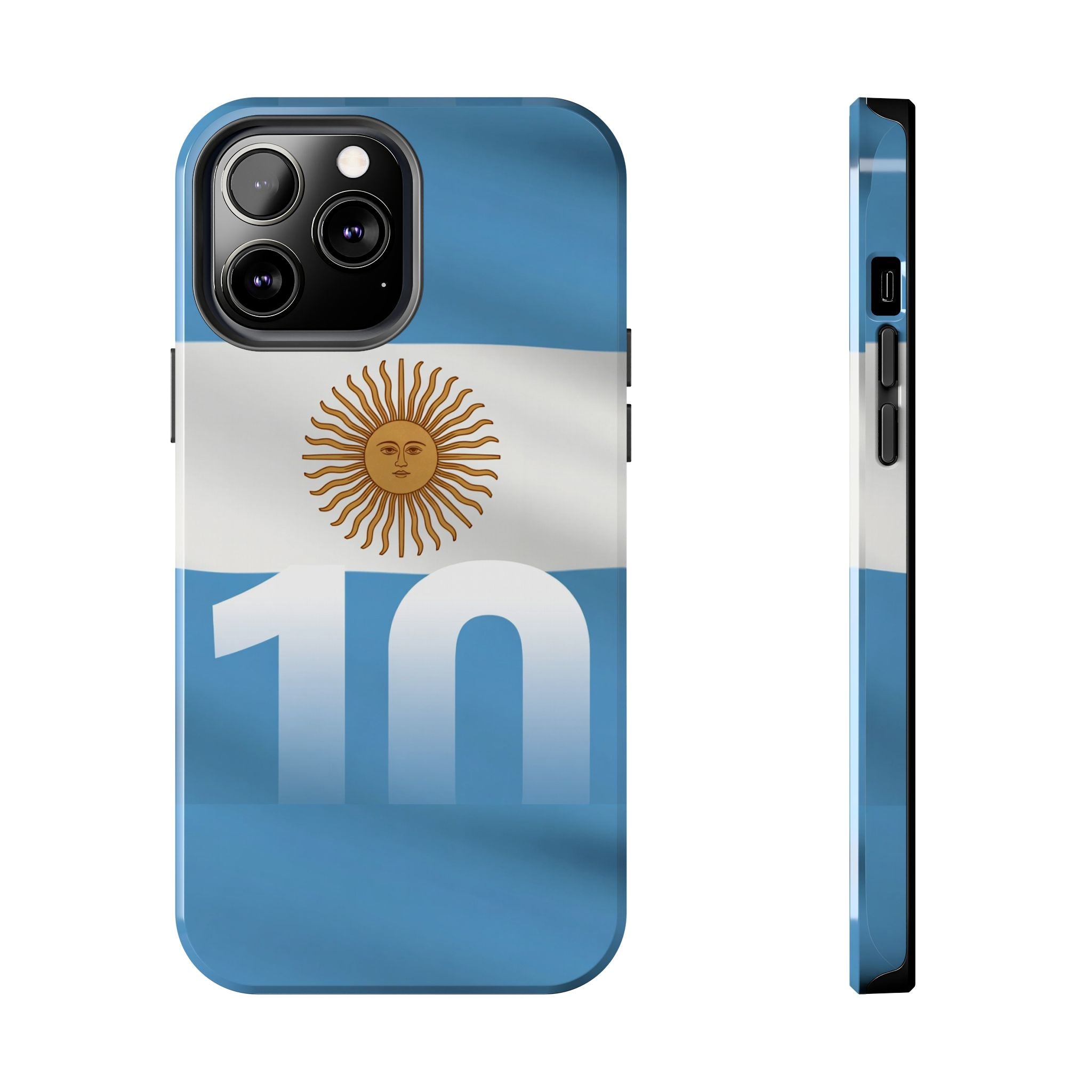 Argentina Flag/Sun Case Number 10