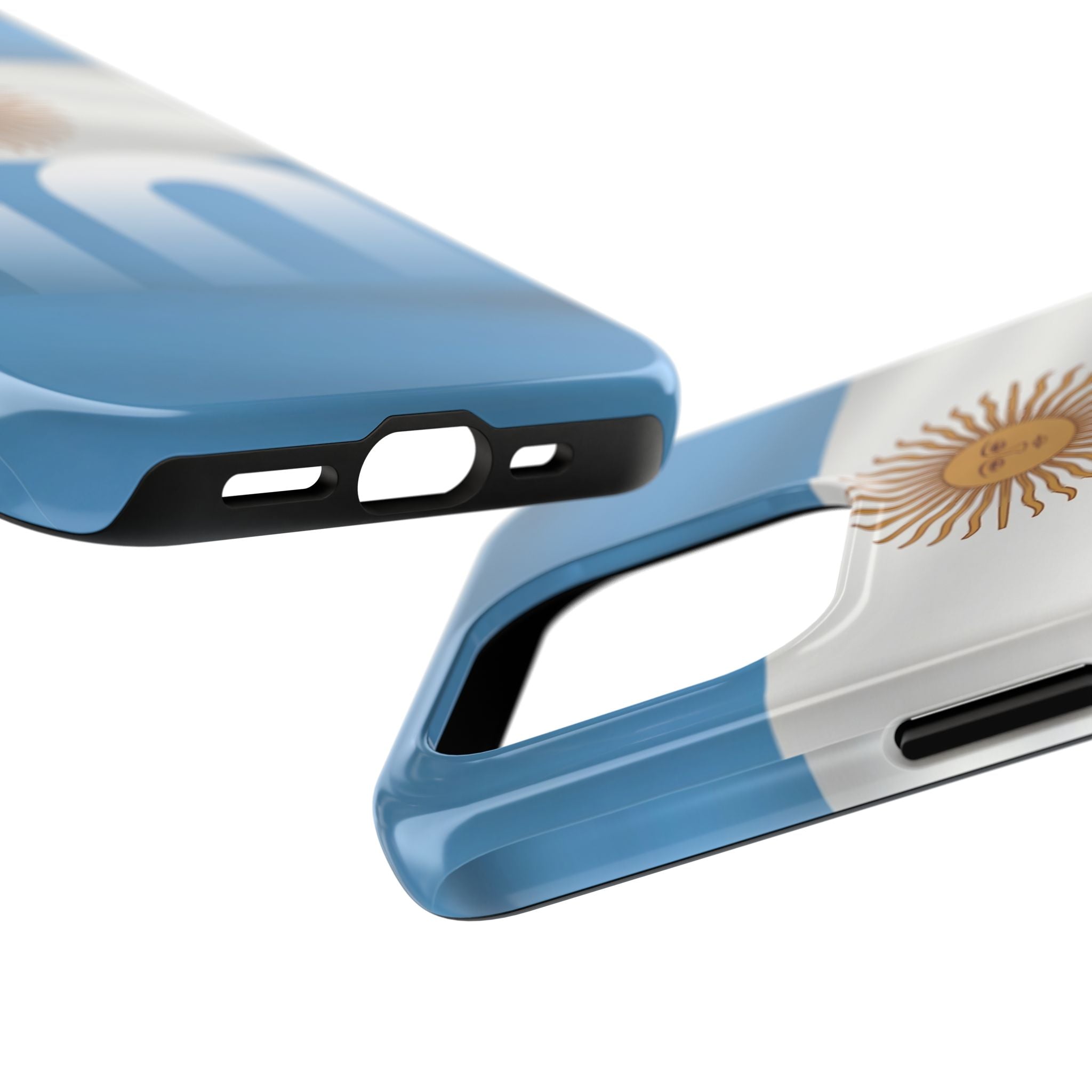 Argentina Flag/Sun Case Number 10