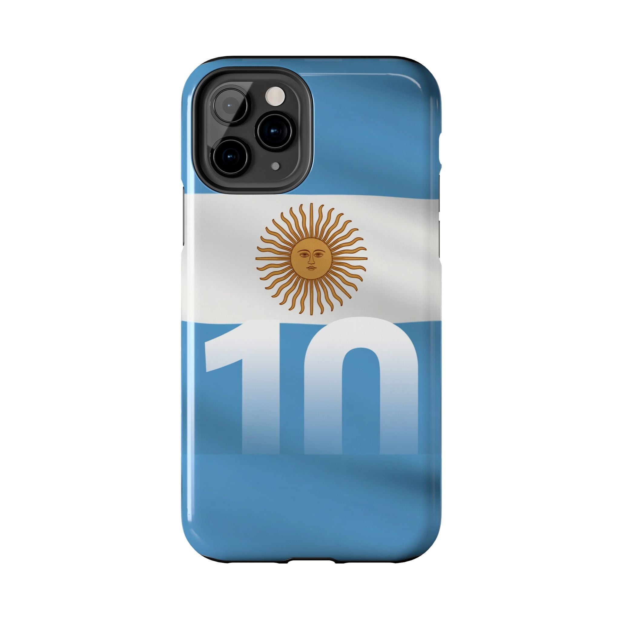 Argentina Flag/Sun Case Number 10