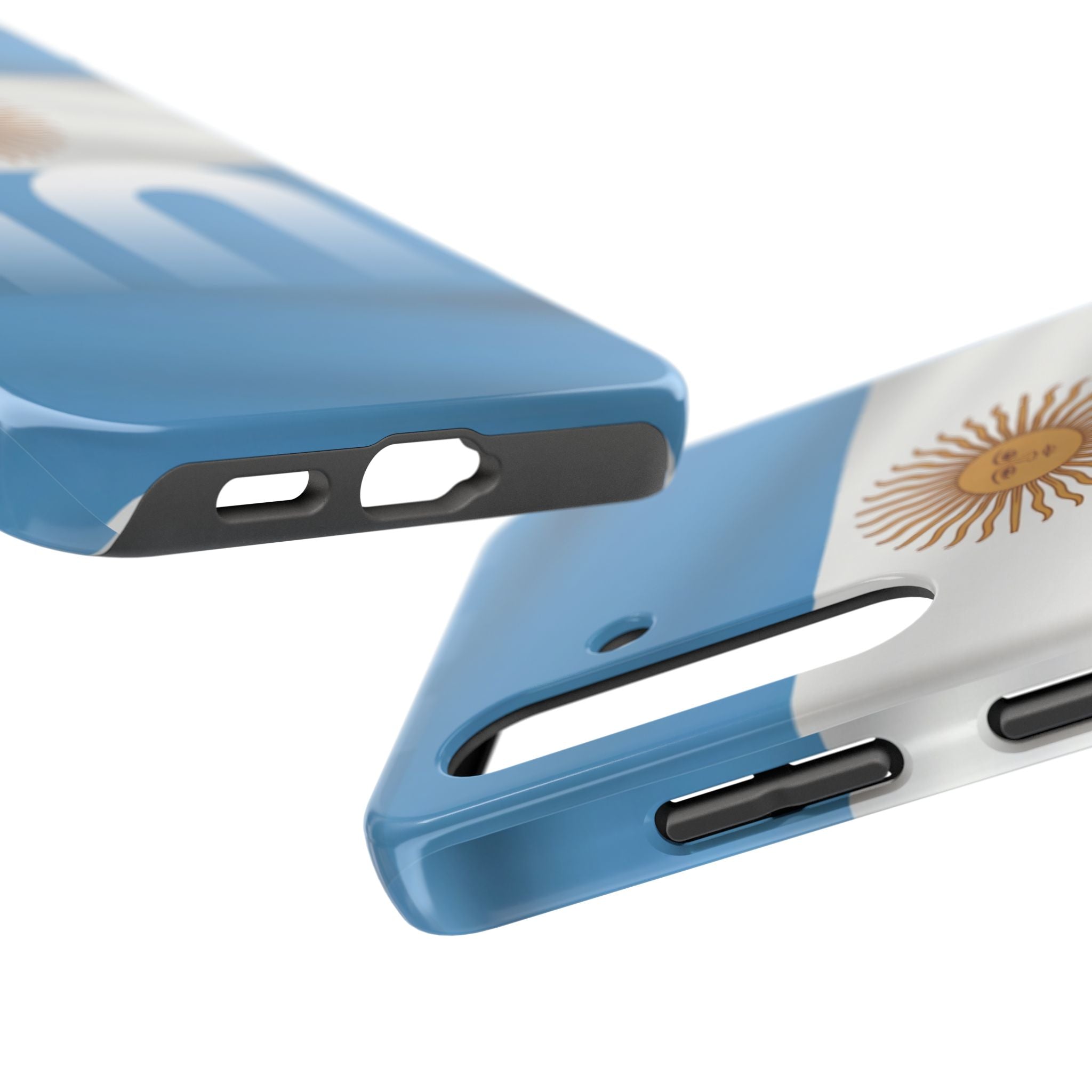 Argentina Flag/Sun Case Number 10